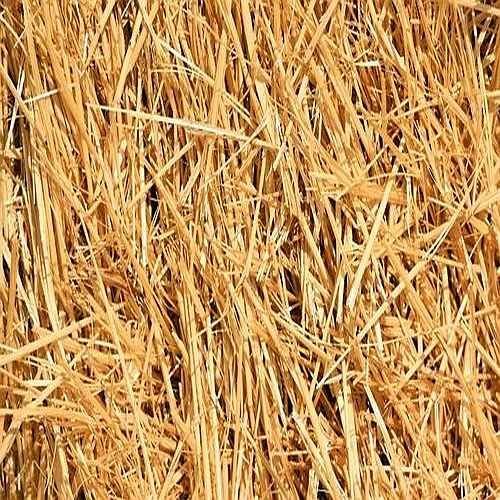 Dried Wheat Straw