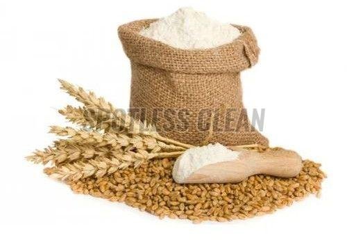 Organic Wheat Flour