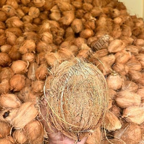 Semi Husked Coconut