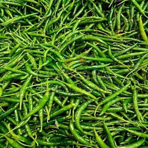 G4 Fresh Green Chilli