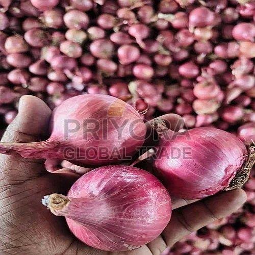 Nashik Fresh Pink Onion