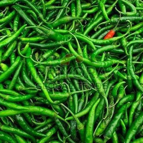 Organic Fresh Green Chilli