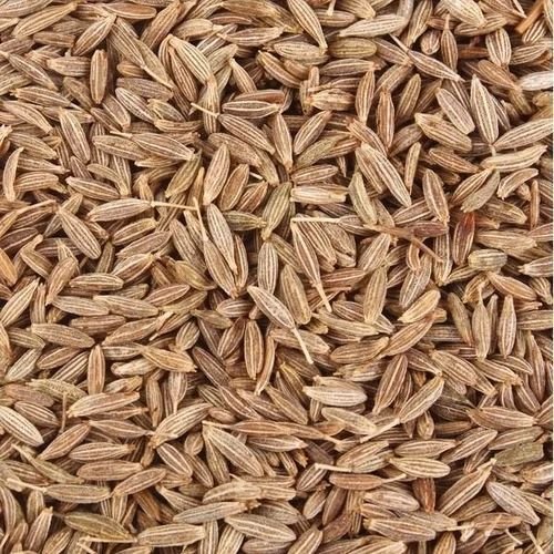 Cleaned Cumin Seeds