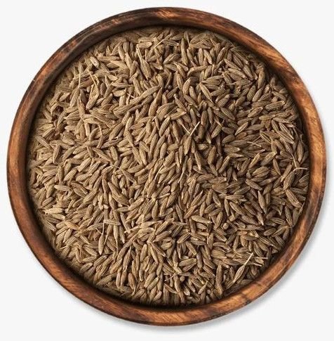 Singapore Quality Cumin Seeds