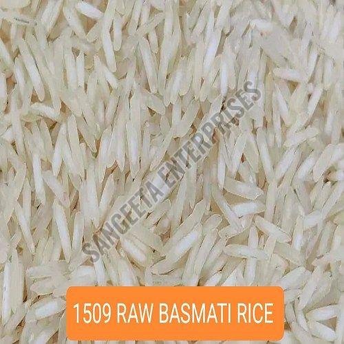 1509 Raw Basmati Rice