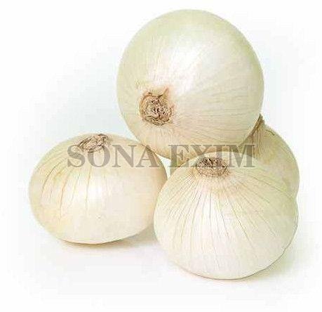 Fresh White Onion