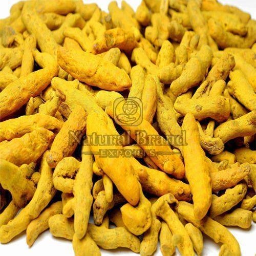 Rajapuri Turmeric Finger