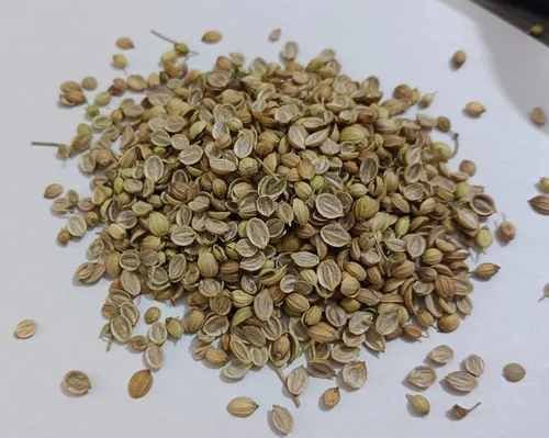 Eagle Split Coriander Seed