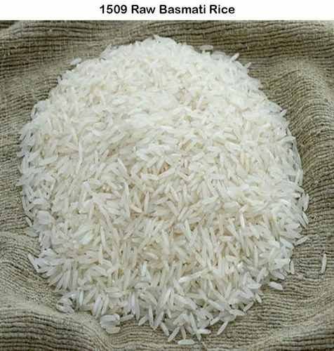 1509 Raw Basmati Rice