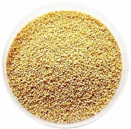 Foxtail Millet