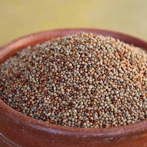 Pearl Millet
