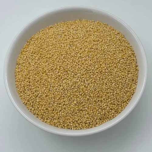 Proso Millet