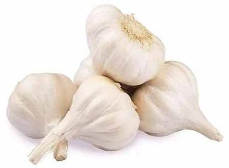 Raw Garlic