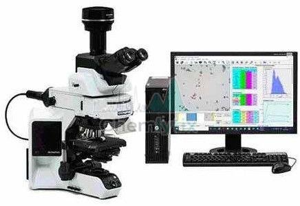 Psd Analysis Service