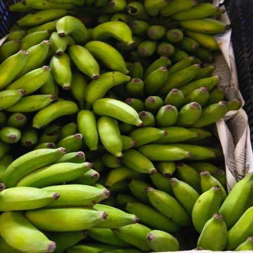 A Grade Fresh Yelakki Banana