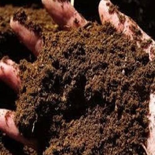 Brown Vermicompost Powder