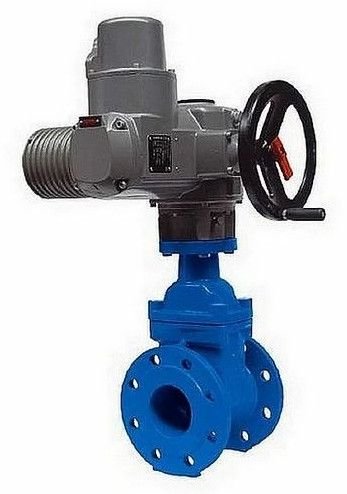 Electric Actuated Gate Valve