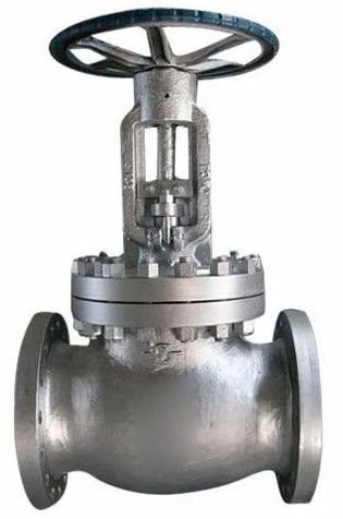 Steam Line Globe Valve