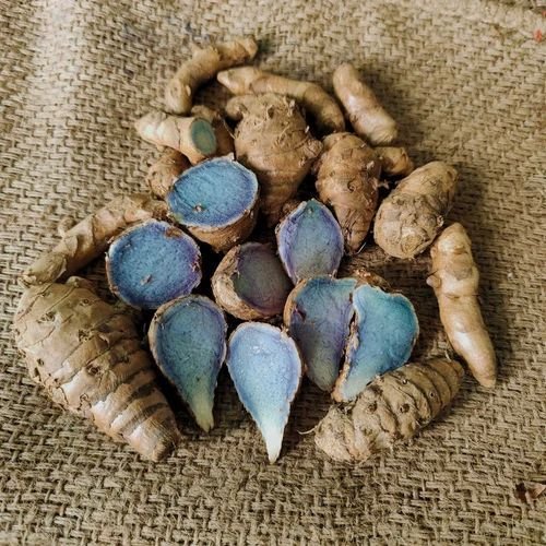 Organic Blue Turmeric Finger