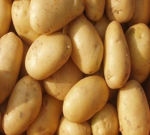 A Grade Brown Potato