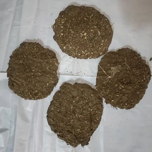 Cow Dung Cake