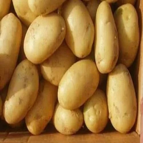 A Grade Fresh Pahadi Potato
