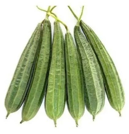 Fresh Ridge Gourd