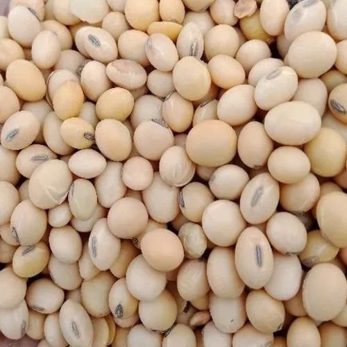 Raw Soybean Seeds