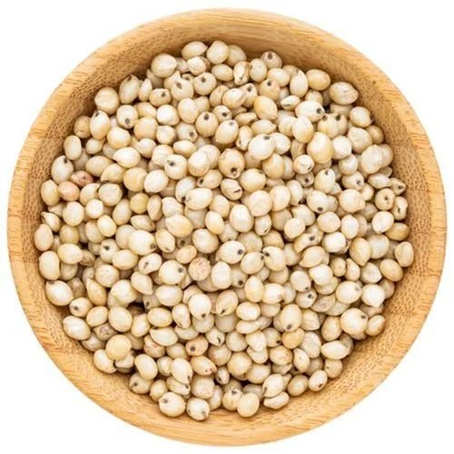 White Sorghum Seeds