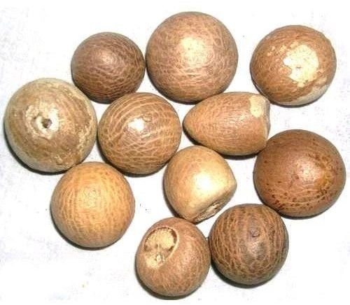 Organic Areca Nut