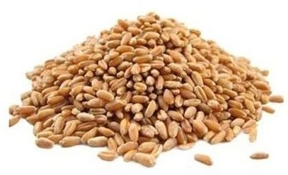 Brown Indian Whole Wheat