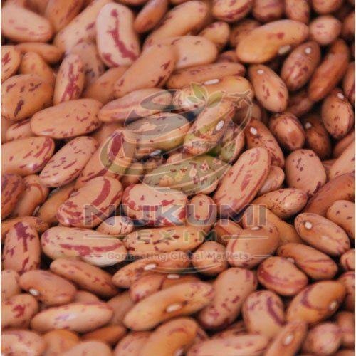 A Grade Chitra Rajma