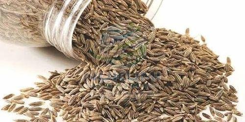 A Grade Dried Cumin Seeds