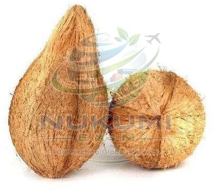 A Grade Semi Husked Coconut
