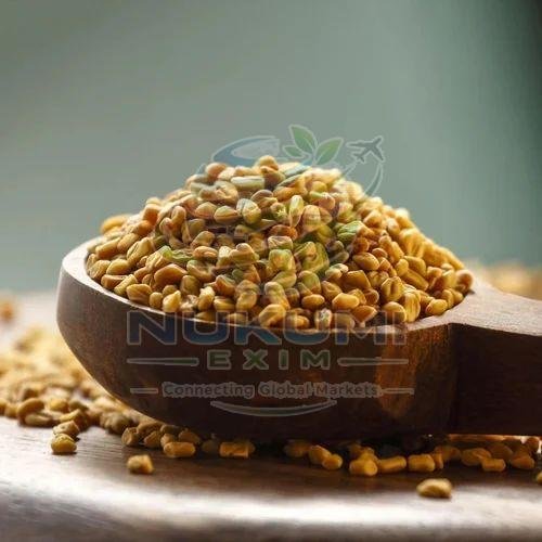 Dried Fenugreek Seed