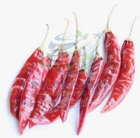 Dried Kashmiri Red Chilli