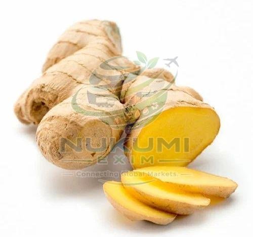 Fresh Ginger Root