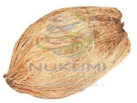 Fully Husked Coconut