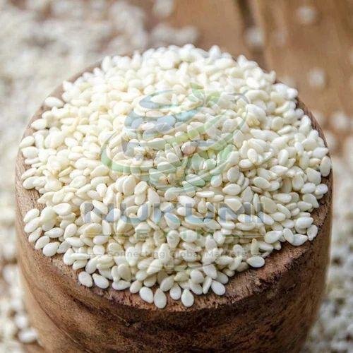 Oil Seeds & Nuts