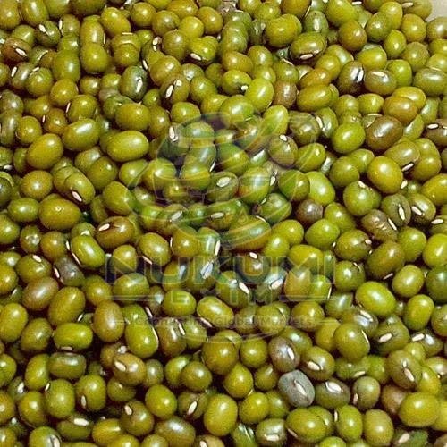 Whole Green Moong Dal