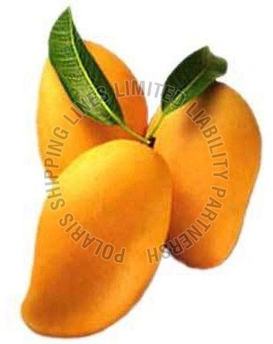 Fresh Mango
