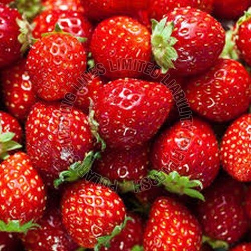 Fresh Strawberry