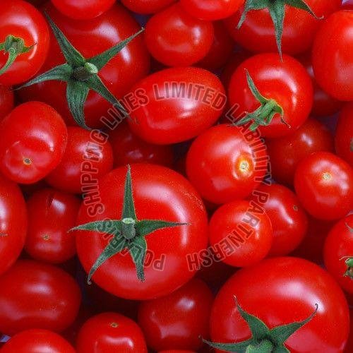 Fresh Tomato