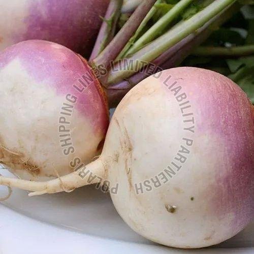 Fresh Turnip