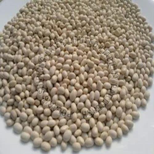 Lupin Beans