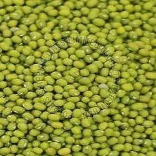 Mung Beans
