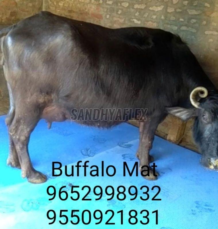 Buffalo Mats