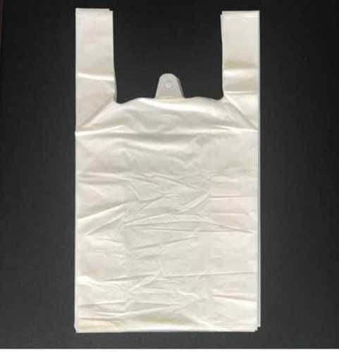 9x12 Inch Compostable Carry Bag