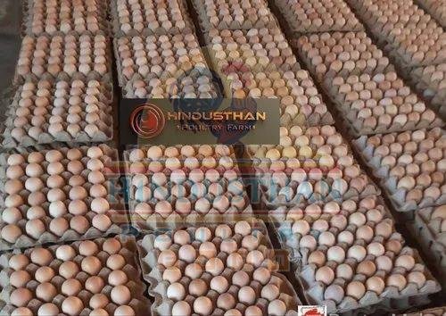 Pure Nati Koli Chicken Egg