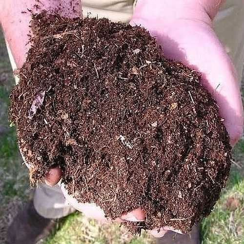 Natural Vermicompost Fertilizer